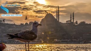 İstanbul Umre firması ve firmaları. 2023 gezi turları ve transfer